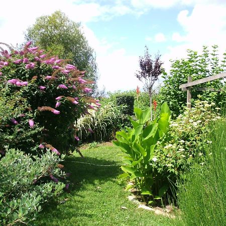Bed and Breakfast Le Bord De L'Eau Sainte-Terre Esterno foto