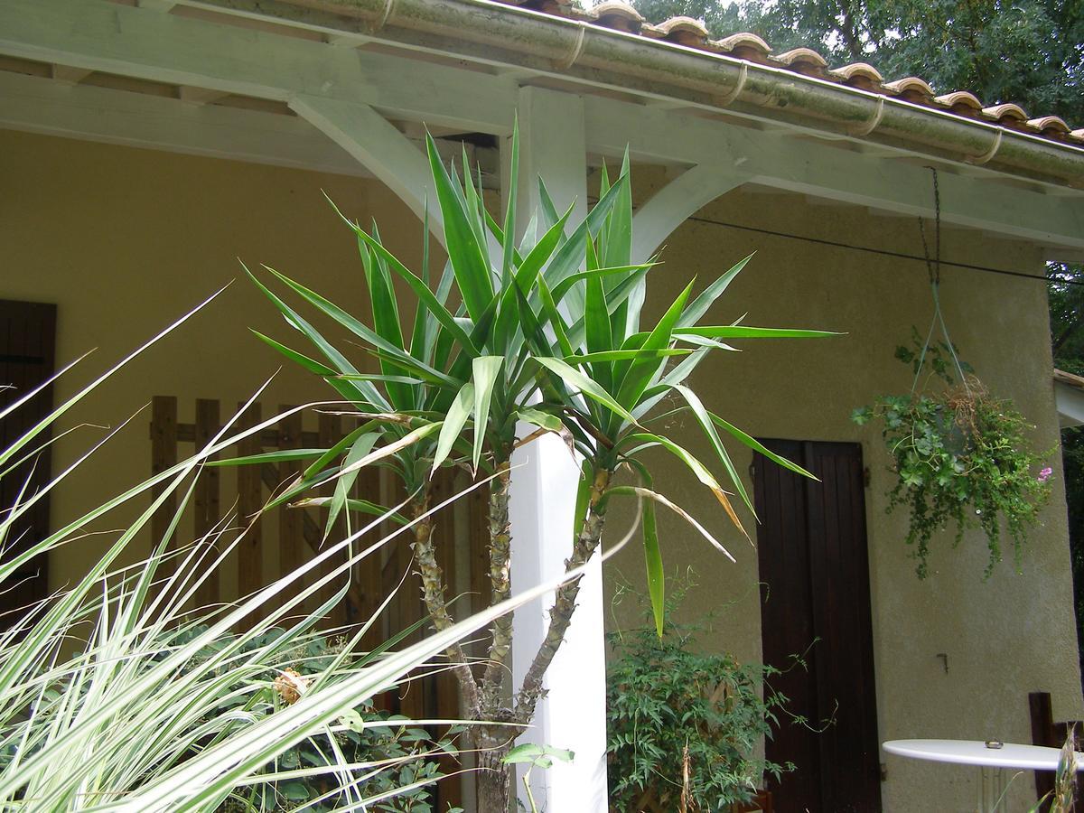 Bed and Breakfast Le Bord De L'Eau Sainte-Terre Esterno foto